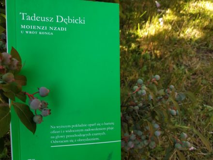 Tadeusz Dębicki, Moienzi Nzandi, U wrót Konga
