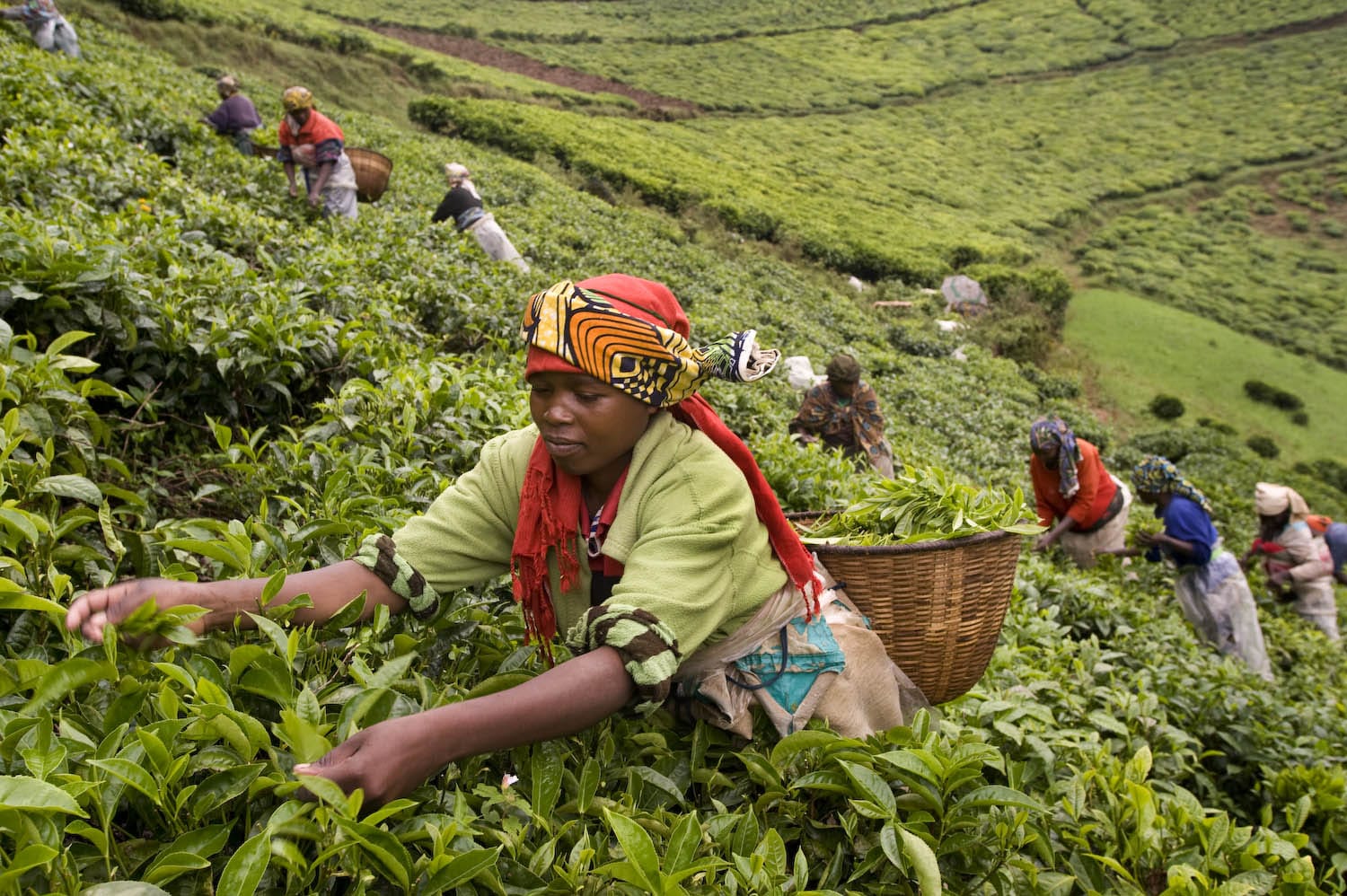 rwanda-women-coffee