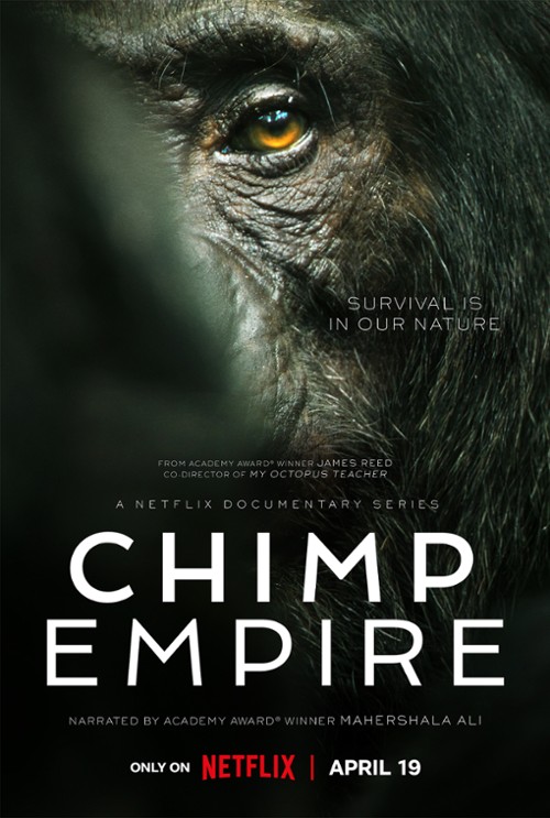imperium-szympansow-netflix