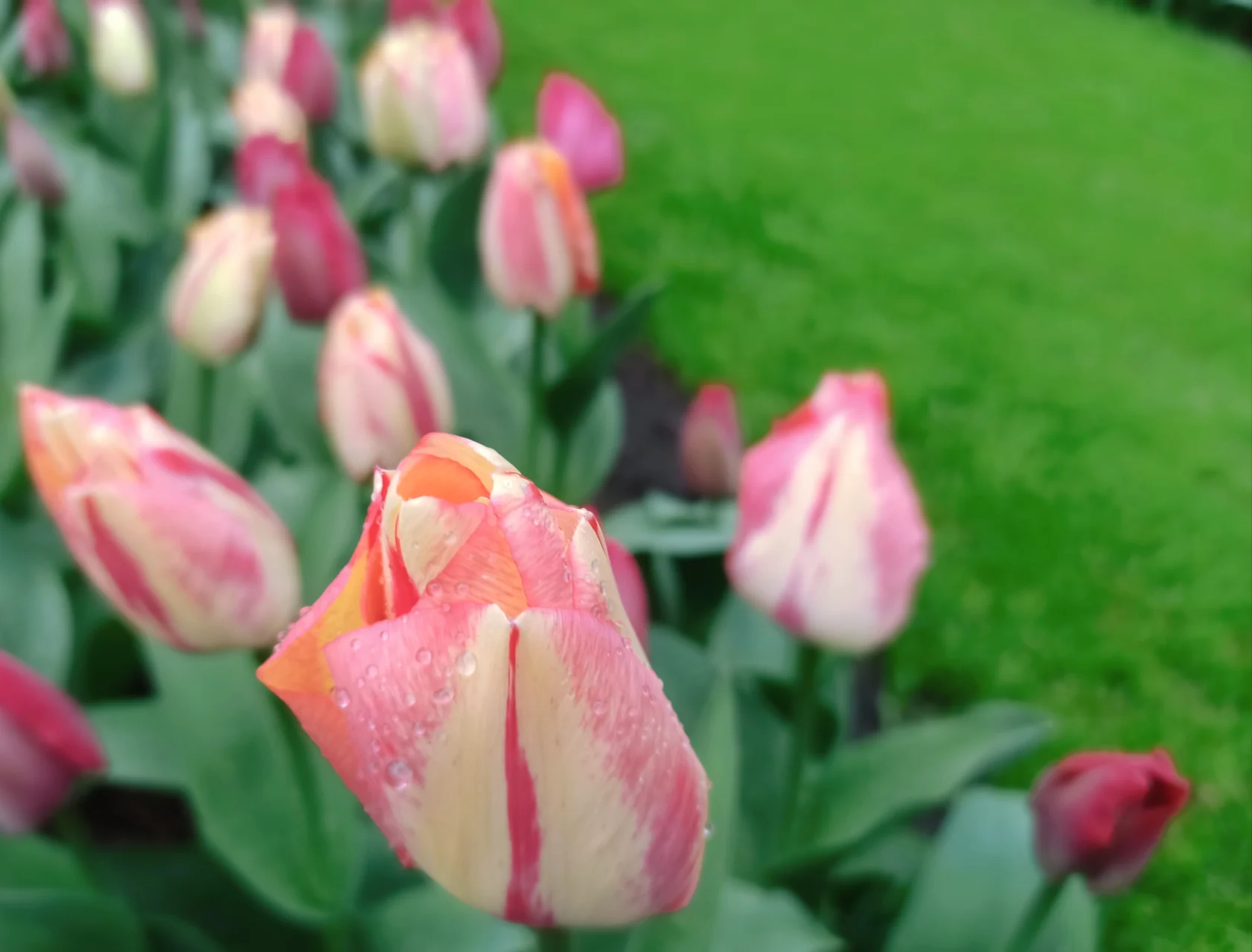 Abdulrazak Gurnah Nad morzem