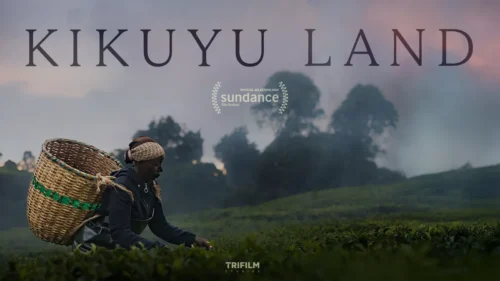 kikuju-land-review-ziemia-kikuju-recenzja